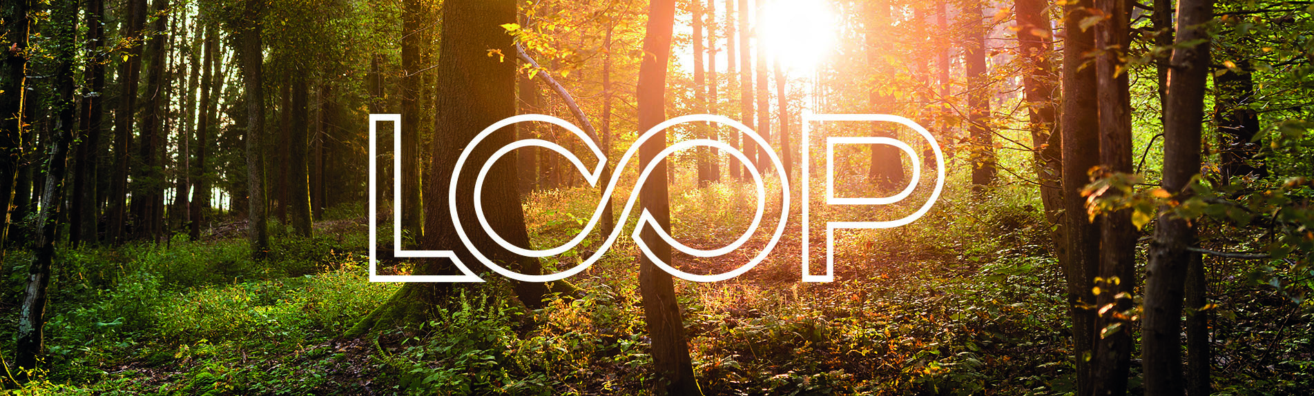 Loop Environmental Image